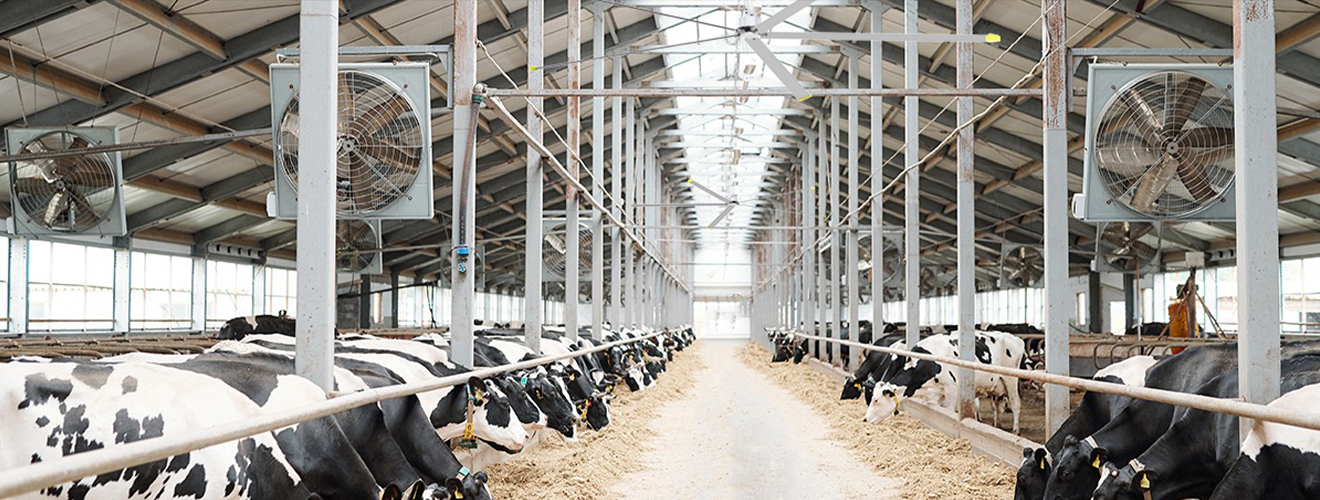 Animal husbandry