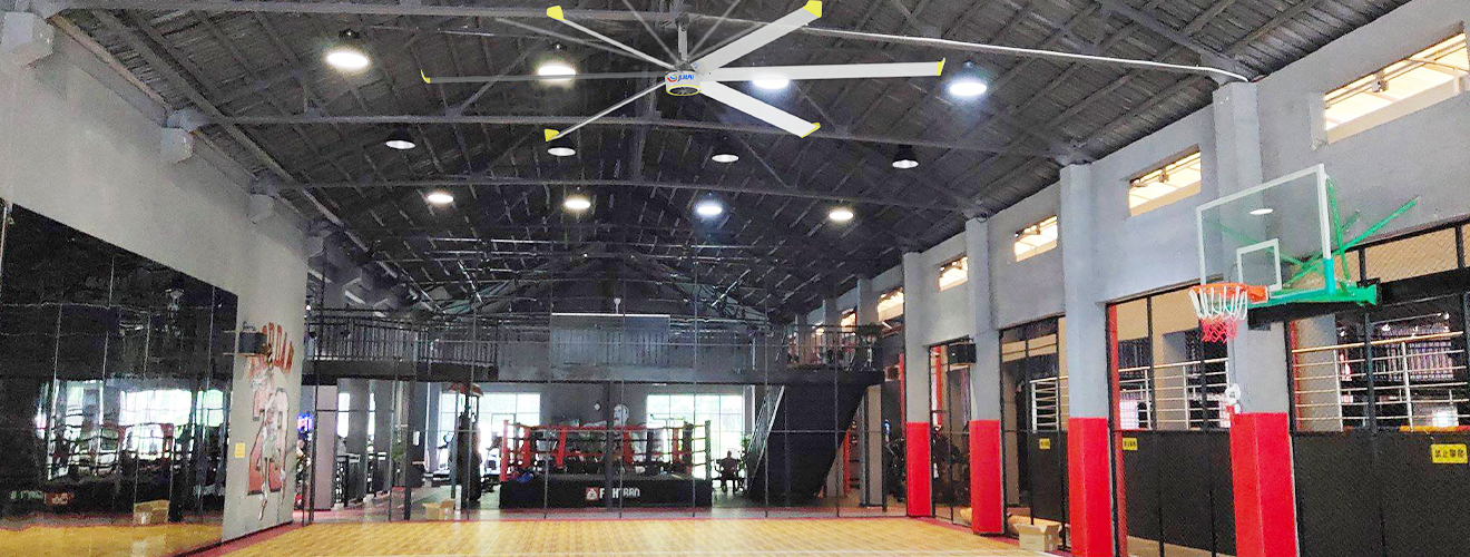 Gymnasium