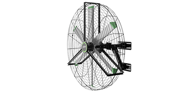 GP WALL FAN