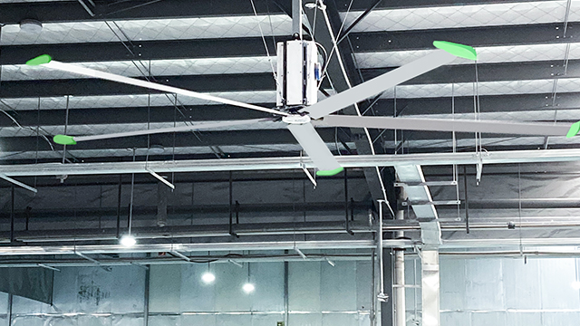 Big Ceiling Fans In Processing Plant