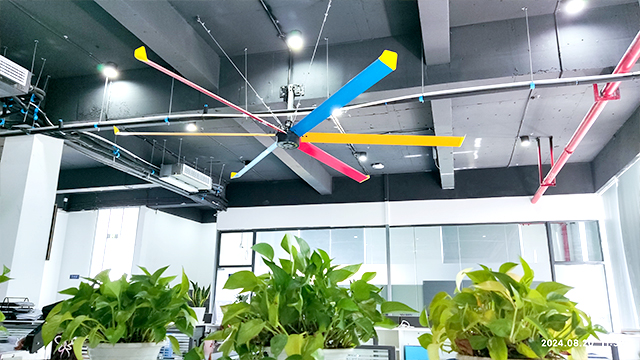 Big Ceiling Fans In Factory Office Area
